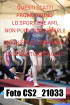 CS2_21033-
