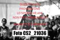 CS2_21036-