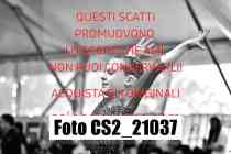 CS2_21037-