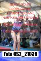 CS2_21039-