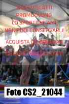 CS2_21044-