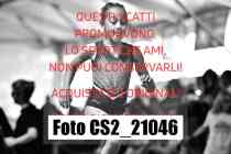CS2_21046-