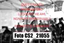 CS2_21055-
