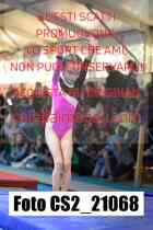 CS2_21068-