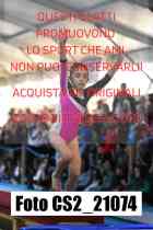 CS2_21074-