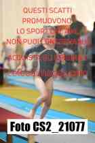 CS2_21077-