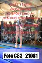CS2_21081-