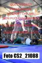CS2_21088-
