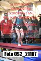 CS2_21107-