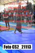 CS2_21113-