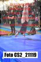 CS2_21119-