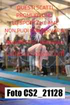 CS2_21128-