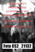 CS2_21132-
