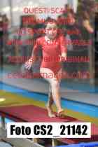 CS2_21142-