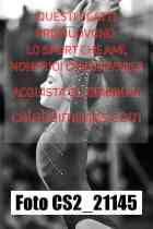CS2_21145-