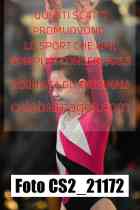 CS2_21172-
