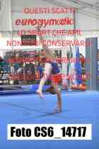 CS6_14717-