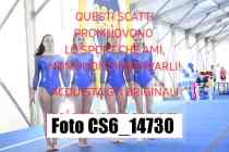 CS6_14730-