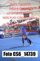 CS6_14739-