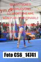 CS6_14741-