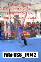 CS6_14742-