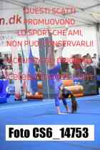 CS6_14753-