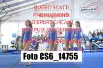 CS6_14755-