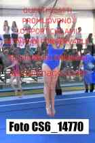 CS6_14770-