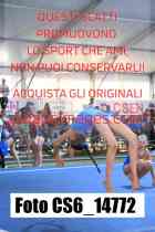 CS6_14772-