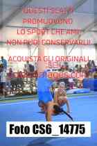 CS6_14775-