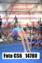 CS6_14780-