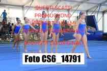 CS6_14791-