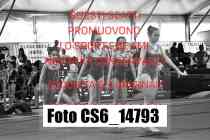 CS6_14793-