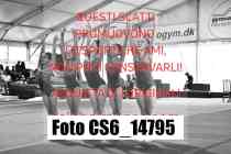 CS6_14795-