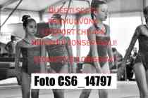 CS6_14797-