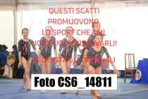 CS6_14811-