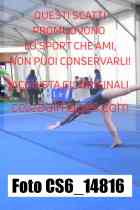 CS6_14816-