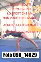 CS6_14829-
