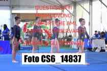 CS6_14837-