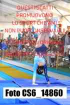 CS6_14860-
