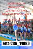 CS6_14893-