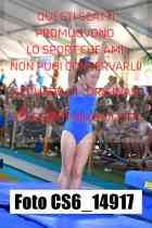 CS6_14917-