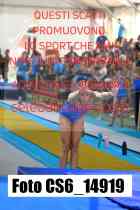 CS6_14919-