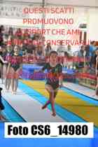 CS6_14980-