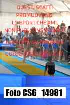 CS6_14981-