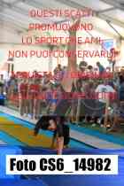 CS6_14982-