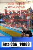 CS6_14988-