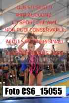 CS6_15055-