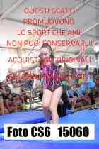 CS6_15060-