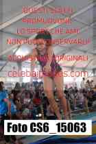 CS6_15063-